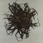 "Medusa", 2010, Oel auf Baumwolle, 150 x 150 cm